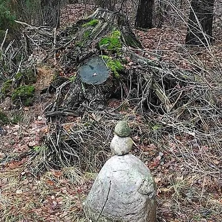 Dom Za Wydma Apartamento Nielbark