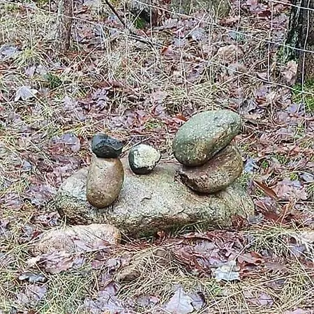 Apartment Dom Za Wydma Nielbark