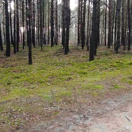 Appartement Dom Za Wydma Nielbark