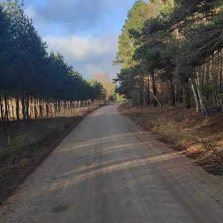 Apartment Dom Za Wydma Nielbark