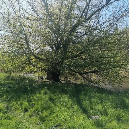Dom Za Wydma Appartement