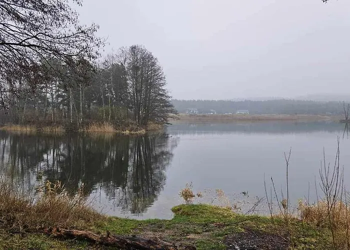 Apartment Dom Za Wydma *