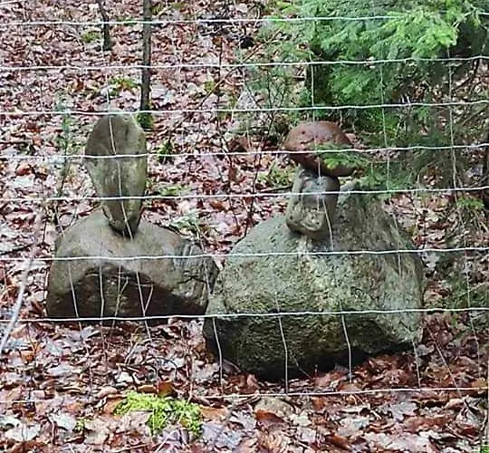 Apartment Dom Za Wydma *