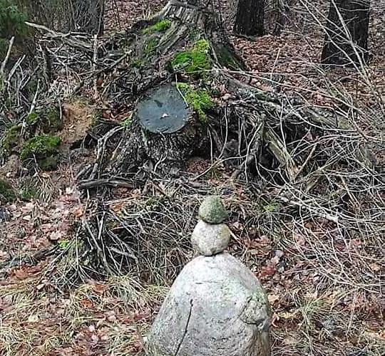 Dom Za Wydma Apartment Nielbark