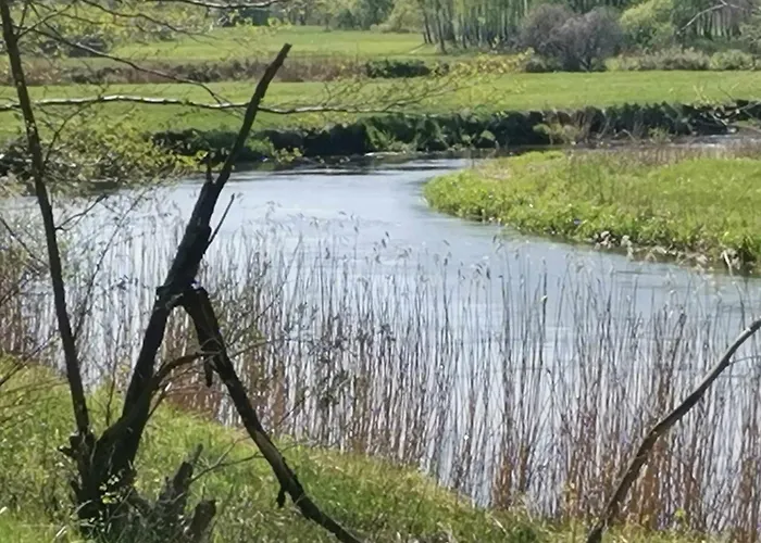 Dom Za Wydma Nielbark