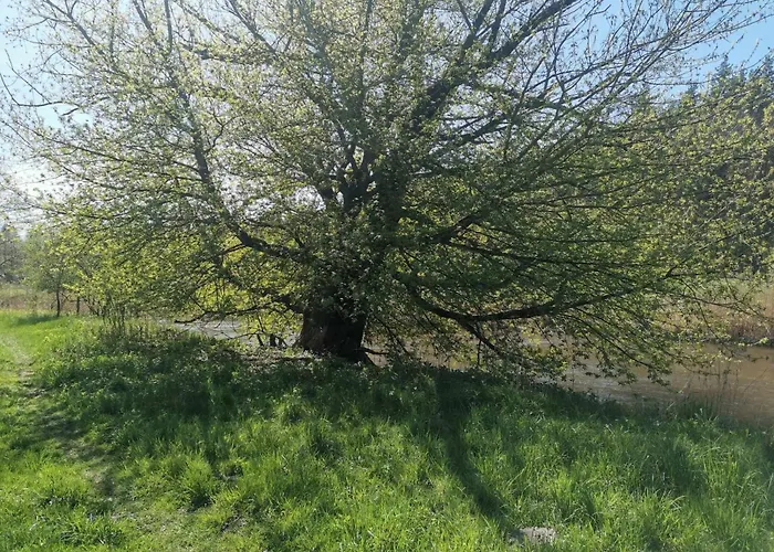 Dom Za Wydma Apartment