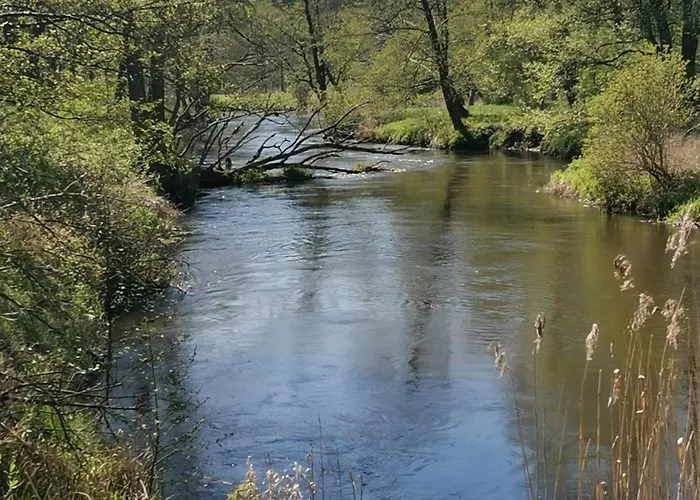 Dom Za Wydma Apartment *